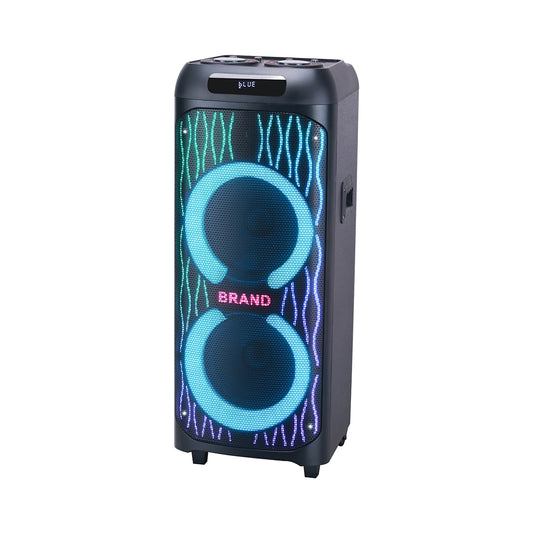 Chaoyue Double 10 Inch Woodenbox Praty Bluetooth Speaker 12V/9Ah attery Lng-lasting Big Power