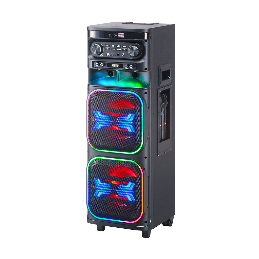 Chaoyue Private Karaoke Party Speakers Double 8'Inch Woofer*2 With Light Portable Speaker Long-Lasting Rechargeable Battery