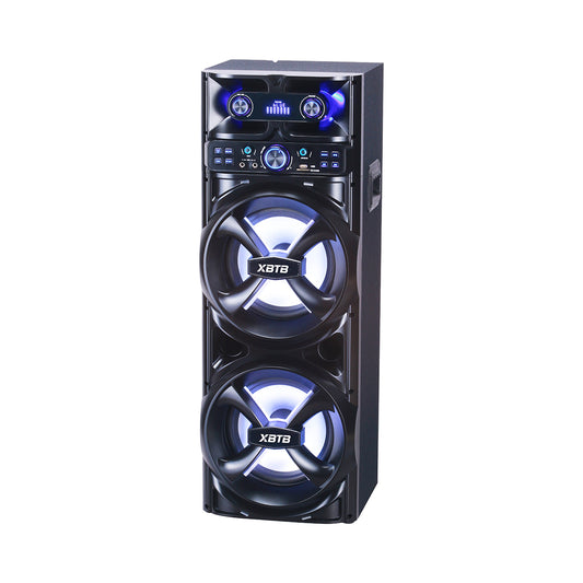 Chaoyue Karaoke Party Speakers 10 Inch High Power Outdoor Long-Lasting Rechargeable BatterySpeaker
