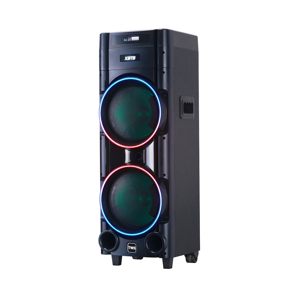 Chaoyue Private Design Karaoke Party Speakers Double 8'Inch Woofer*2 With Light Portable Speaker Big Battery High Power
