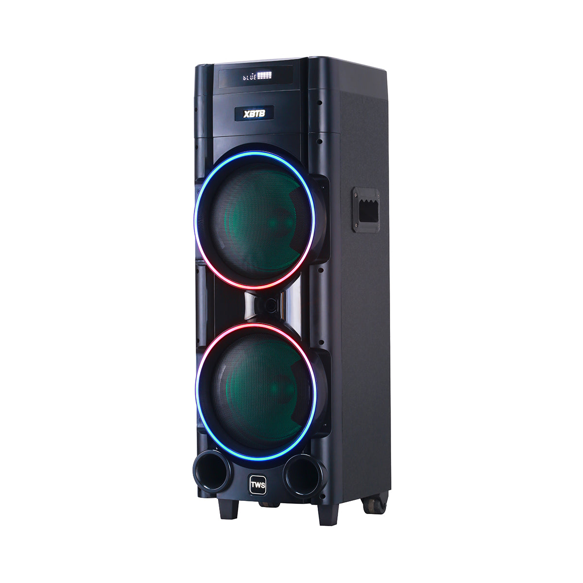 Chaoyue Private Design Karaoke Party Speakers Double 8'Inch Woofer*2 With Light Portable Speaker Big Battery High Power