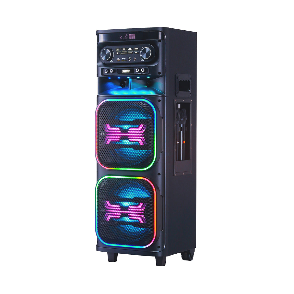 Chaoyue Private Karaoke Party Speakers Double 8'Inch Woofer*2 With Light Portable Speaker Long-Lasting Rechargeable Battery