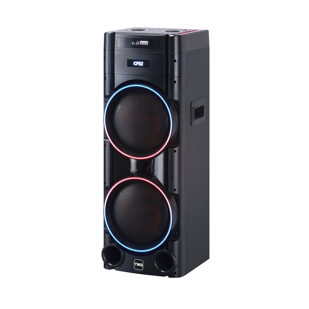 Chaoyue Private Design Karaoke Party Speakers Double 8'Inch Woofer*2 With Light Portable Speaker Big Battery High Power