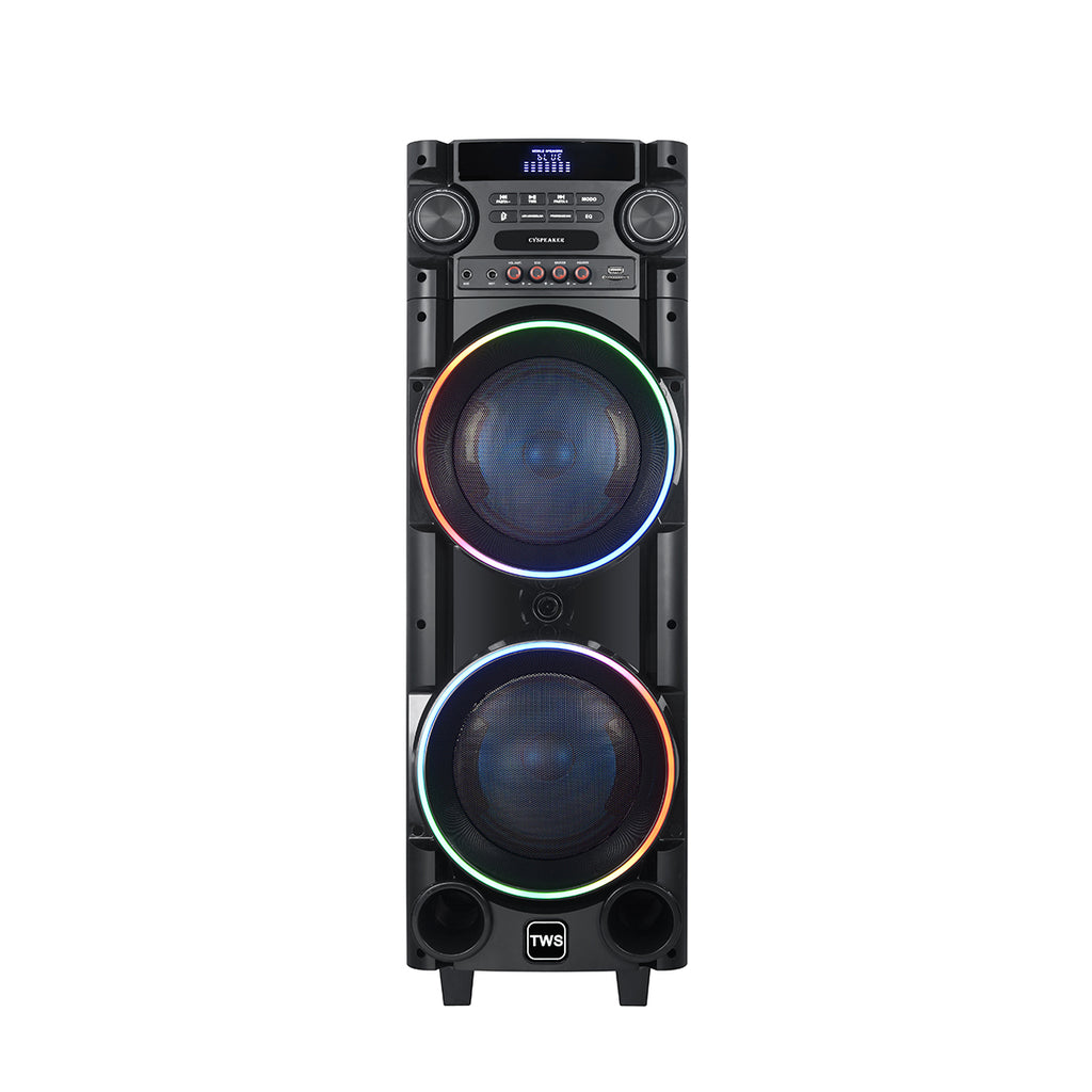 Chaoyue Private Design Karaoke Party Speakers Double 8'Inch Woofer*2 With Light Portable Speaker High Power Woodenbox