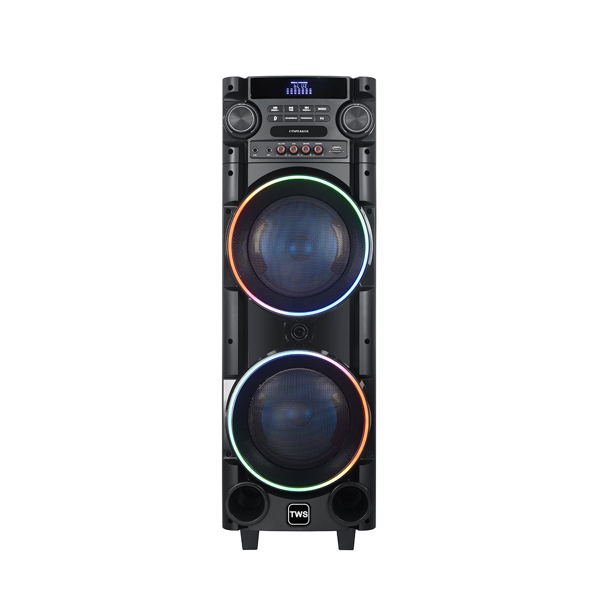 Chaoyue Private Design Karaoke Party Speakers Double 8'Inch Woofer*2 With Light Portable Speaker High Power Woodenbox