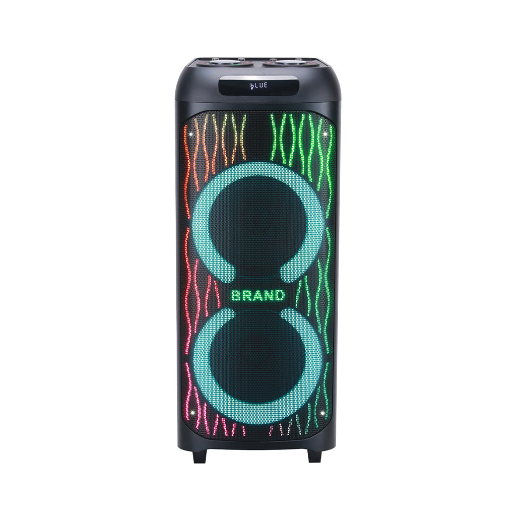 Chaoyue Double 10 Inch Woodenbox Praty Bluetooth Speaker 12V/9Ah attery Lng-lasting Big Power