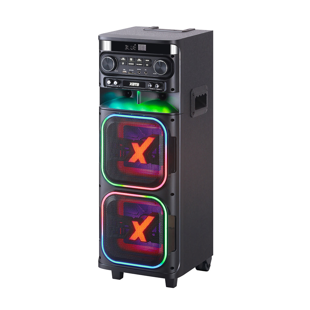 Chaoyue Private Karaoke Party Speakers Double 8'Inch Woofer*2 With Light High Power Portable Speaker Long-Lasting Rechargeable Battery