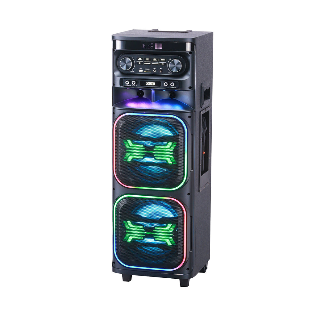 Chaoyue Private Karaoke Party Speakers Double 8'Inch Woofer*2 With Light Portable Speaker Long-Lasting Rechargeable Battery