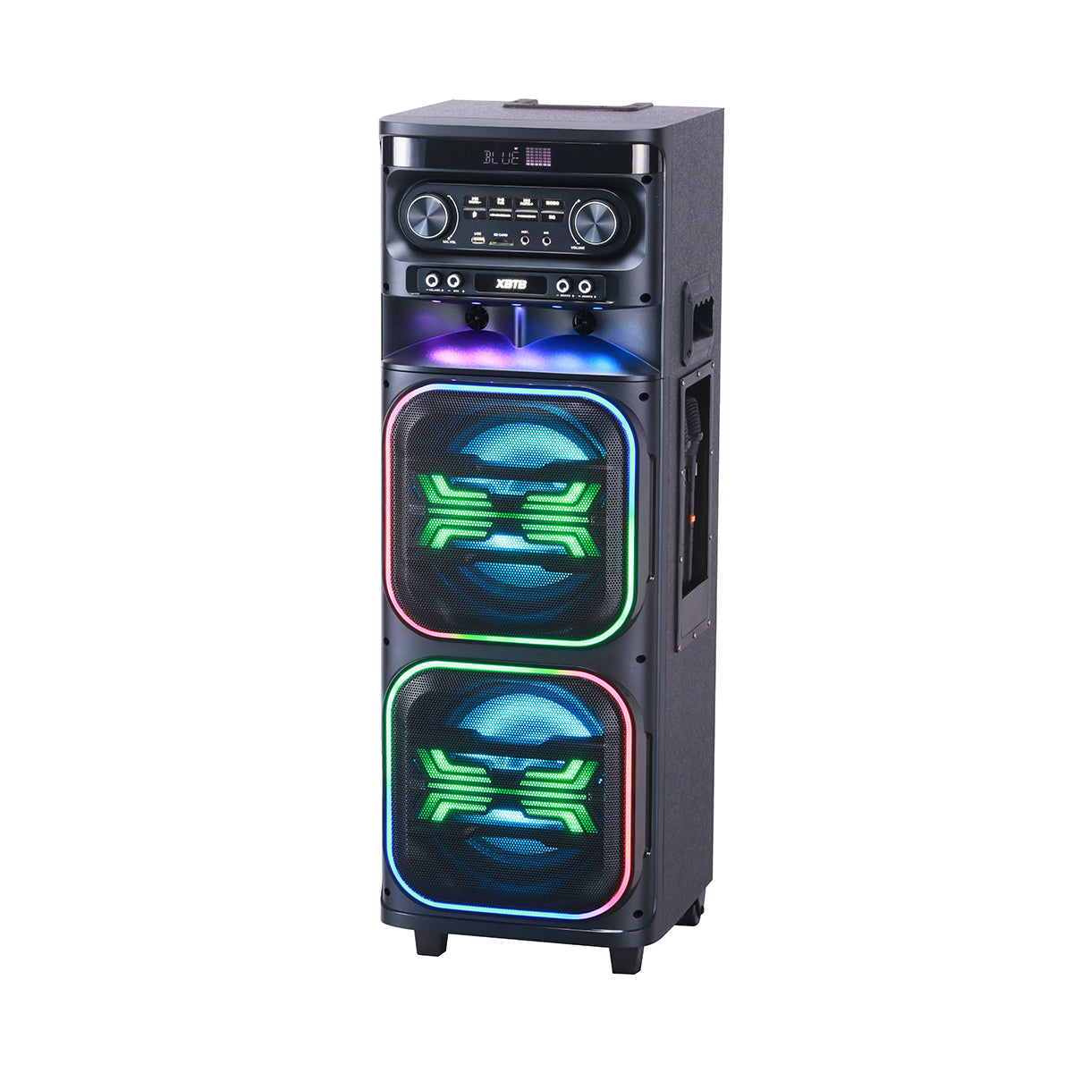 Chaoyue Private Karaoke Party Speakers Double 8'Inch Woofer*2 With Light Portable Speaker Long-Lasting Rechargeable Battery