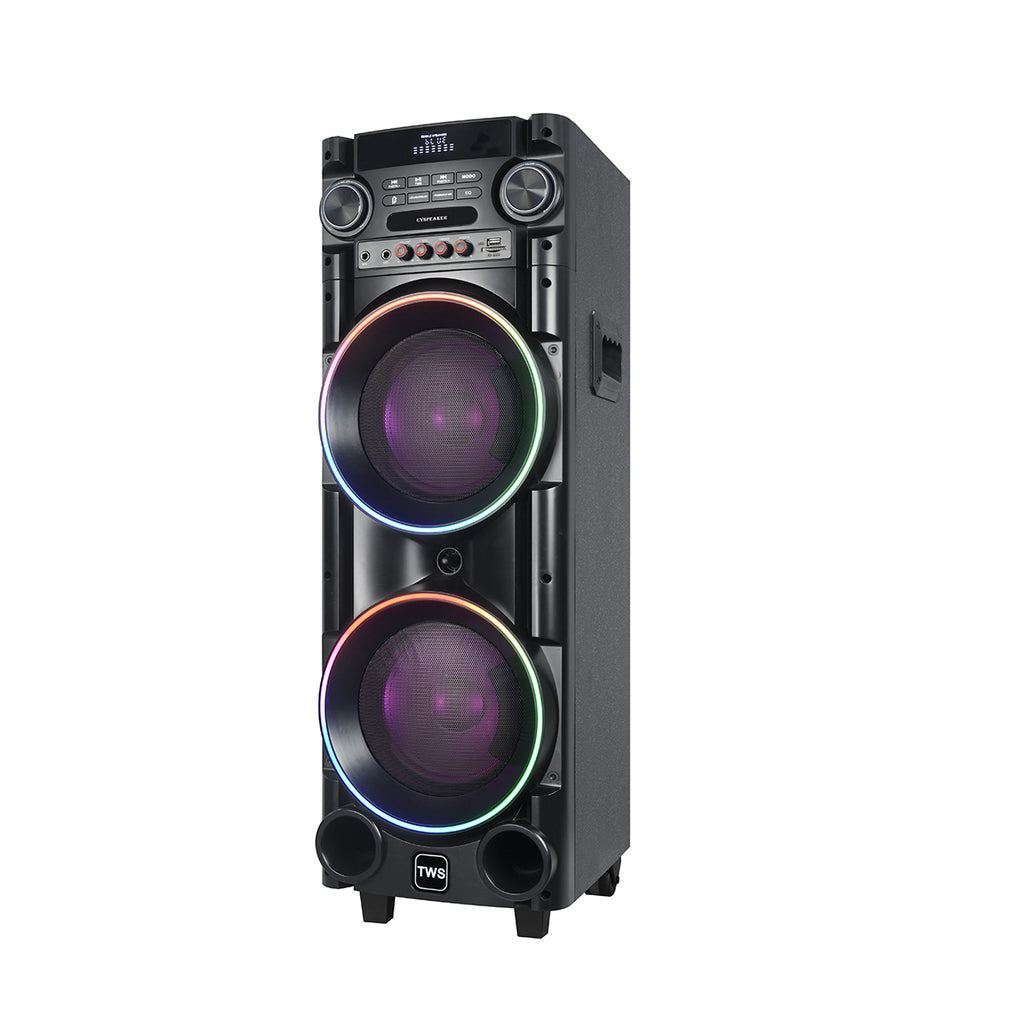 Chaoyue Private Design Karaoke Party Speakers Double 8'Inch Woofer*2 With Light Portable Speaker High Power Woodenbox