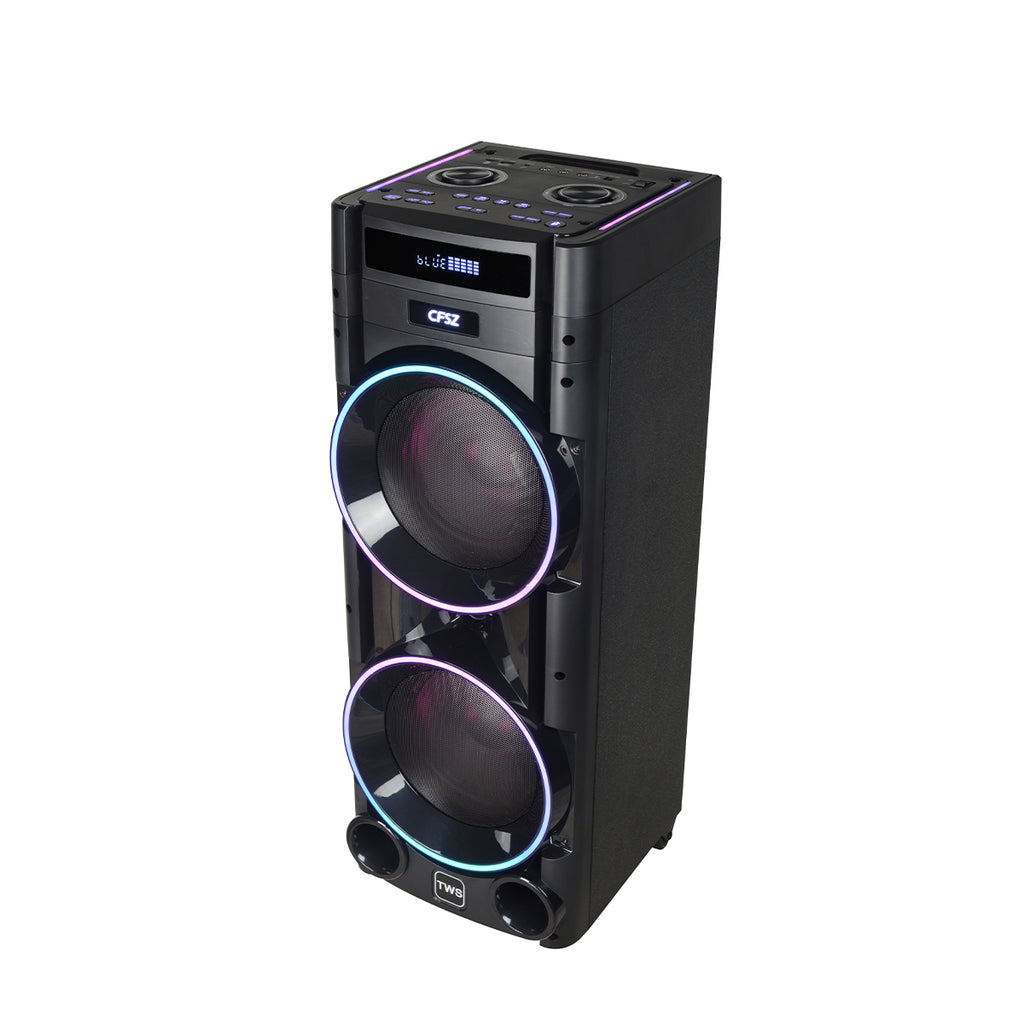 Chaoyue Private Design Karaoke Party Speakers Double 8'Inch Woofer*2 With Light Portable Speaker Big Battery High Power