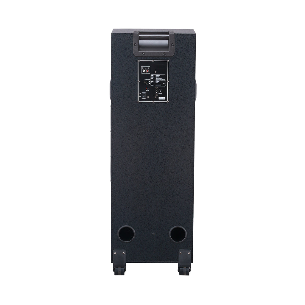 Chaoyue Private Karaoke Party Speakers Double 8'Inch Woofer*2 With Light Portable Speaker Long-Lasting Rechargeable Battery