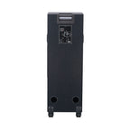 Chaoyue Private Karaoke Party Speakers Double 8'Inch Woofer*2 With Light Portable Speaker Long-Lasting Rechargeable Battery