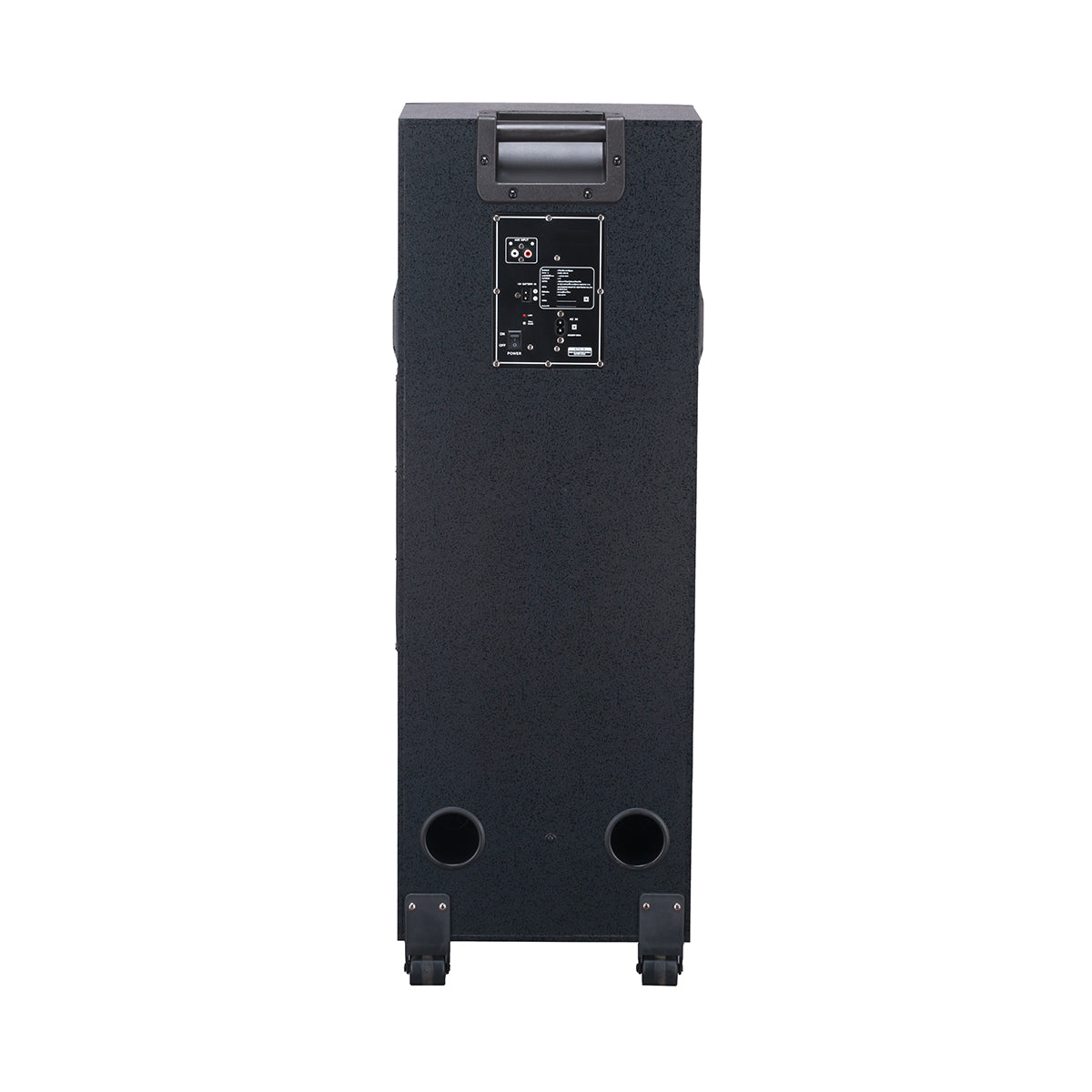Chaoyue Private Karaoke Party Speakers Double 8'Inch Woofer*2 With Light Portable Speaker Long-Lasting Rechargeable Battery