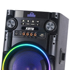 Chaoyue Private Design Karaoke Party Speakers Double 8'Inch Woofer*2 With Light Portable Speaker High Power Woodenbox