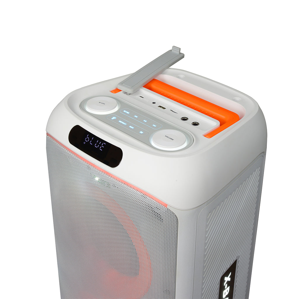 Chaoyue Portable Black/White Bluetooth Party Speaker 6.5Inch*2 With USB FM, RGB Lighting, and Long-Lasting Rechargeable Battery